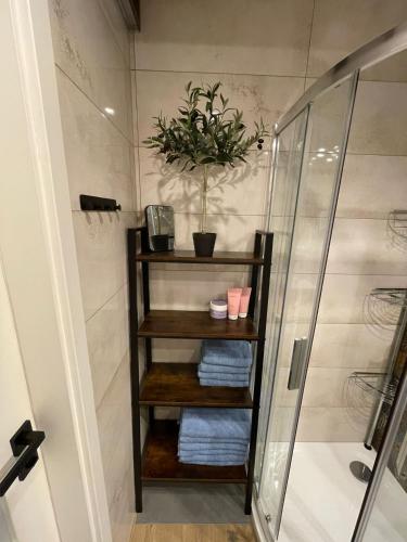 a bathroom with a shower and a shelf with towels at Domek w Kobylance in Kobylanka