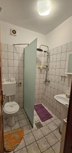 a bathroom with a shower and a toilet and a sink at Vila Vienna in Zaječar