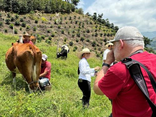 a group of people in a field with a cow at Andean Mot Mot Coffee - Puerto Asís Farm in Aranzazu