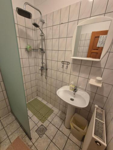 a bathroom with a sink and a shower with a mirror at Vila Vienna in Zaječar