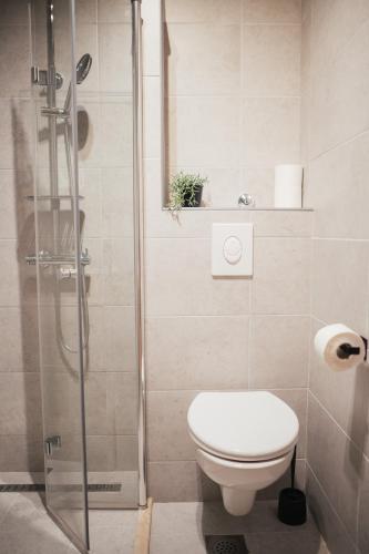 a bathroom with a toilet and a glass shower at Guesthouse Tamara in Lovište