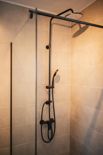 a shower in a bathroom with a glass door at Guesthouse Tamara in Lovište