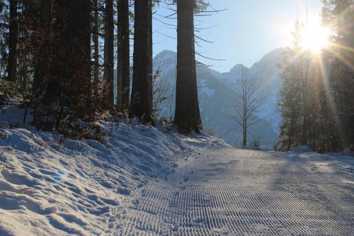 une route enneigée avec le soleil qui brille à travers les arbres dans l'établissement Zederberg Appartements, à Sankt Johann im Pongau