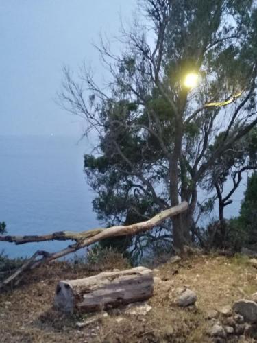 Φυσικό τοπίο κοντά σε αυτό το κάμπινγκ