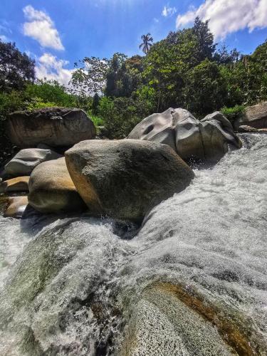 a group of rocks in a river with water at Treehouse Tayrona in Santa Marta