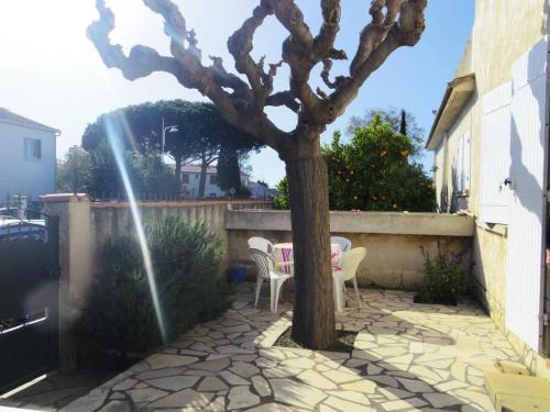 Résidence Ccamt38-aigues Mortes - Appart coeur Camargue Aigues mortes T2 MAE-5361