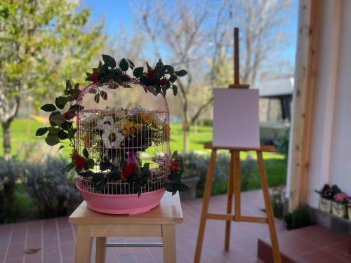 a bird cage with a plant in it on a table at Къща за гости ЗЕЛЕНА in Vinogradets