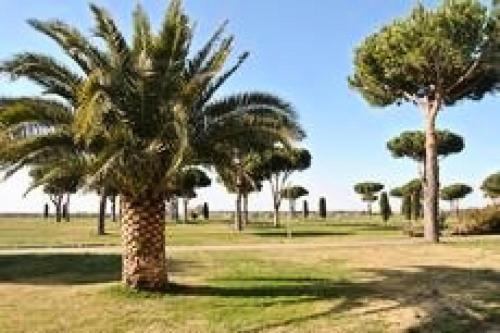 Résidence Les Caraibes - T2 dans résidence avec piscine MAE-5411