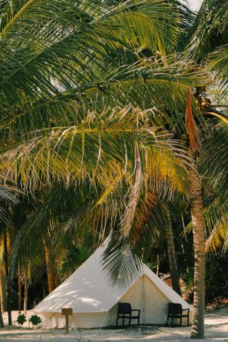 a white tent under a palm tree on the beach at Hotel Cielo y Selva in Punta Allen