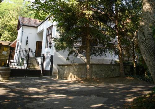 Fotografie z fotogalerie ubytování VILLA HANNA v destinaci Tokaj