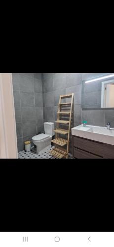 a bathroom with a ladder next to a toilet and a sink at Casa do Leão in Évora