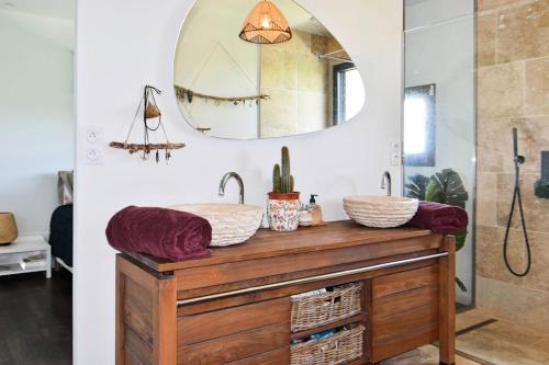 a bathroom with a sink and a mirror at Résidence Sl565-st Laurent D Aigouze - Superbe villa à Saint laurent d Aigouze MAE-9901 in Saint-Laurent-dʼAigouze