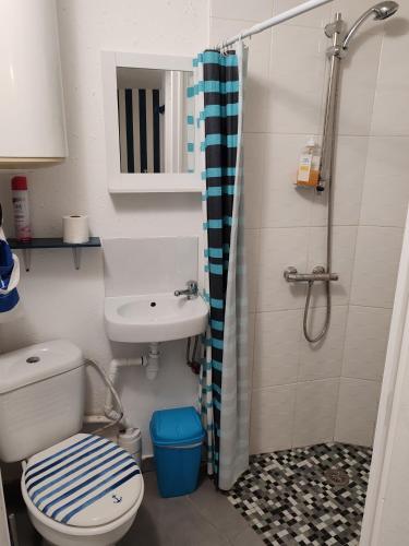 une salle de bain avec toilettes, lavabo et douche dans l'établissement Joli T2 ambiance nautique climatisé et bien situé, à Marseillan