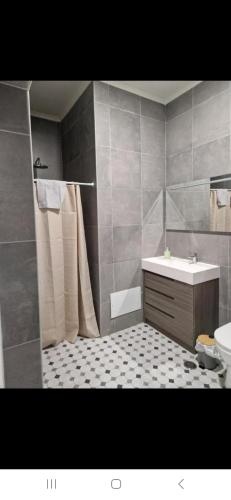 a bathroom with a shower and a sink and a toilet at Casa do Leão II in Évora