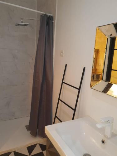 La salle de bains est pourvue d'un rideau de douche à côté d'un lavabo. dans l'établissement Nansouty terrasse, à Bordeaux