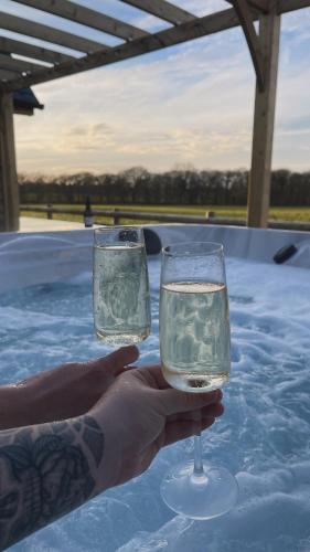 a person holding up two glasses of wine at Luxury Boutique retreat, hot tub, dog friendly in Hanmer