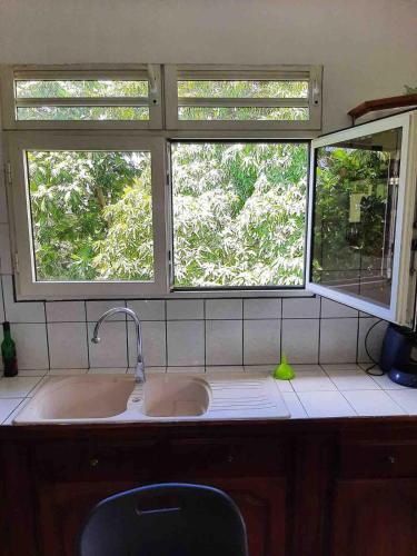 a kitchen with two sinks and two windows at KARENGA house type F4 in Sainte-Anne