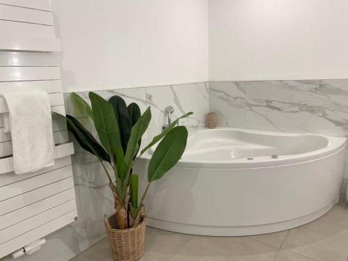 ein weißes Badezimmer mit einer Badewanne und einer Pflanze in der Unterkunft Haus Nordseebrandung FeWo 3 in Cuxhaven