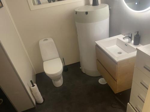 a bathroom with a white toilet and a sink at Trolladalen-Sogndal in Sogndal