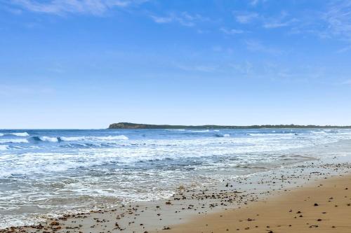 a beach with a lot of birds in the water at Mod House Ocean Grove- Walk to the shops, cafes, beach and park! Brand new luxury apartment in gated complex in Ocean Grove