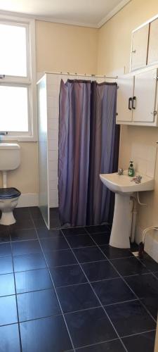 a bathroom with a shower and a sink and a toilet at River Cottage at Mannum in Mannum