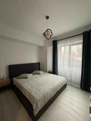 a bedroom with a large bed and a window at Kyr house 2 in Piteşti