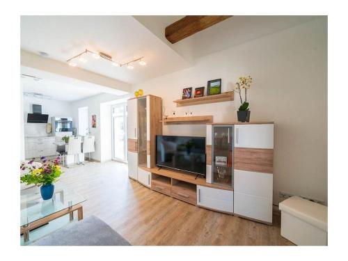 a living room with a large flat screen tv at Holiday Apartment Haus Teichblick in Großzschepa