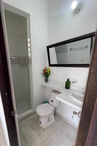a bathroom with a toilet and a sink and a mirror at CASARENA Casa campestre con apartamentos independientes en los llanos in Villavicencio