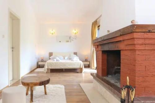 a living room with a bed and a fireplace at Family friendly house with a swimming pool Srinjine, Split - 23950 in Srinjine