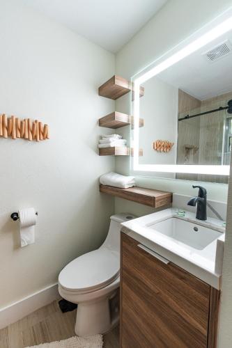 a bathroom with a toilet and a sink and a mirror at Seahorse Beach Bungalows in Fort Pierce