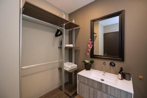 ein Badezimmer mit Waschbecken und Dusche mit Spiegel in der Unterkunft Condesa Luxury Lofts 1210 in Mexiko-Stadt