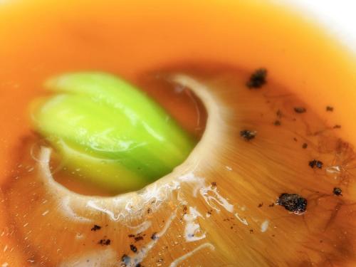 a close up of a bowl of soup with bugs in it at 厳美渓温泉いつくし園 in Itsukushi