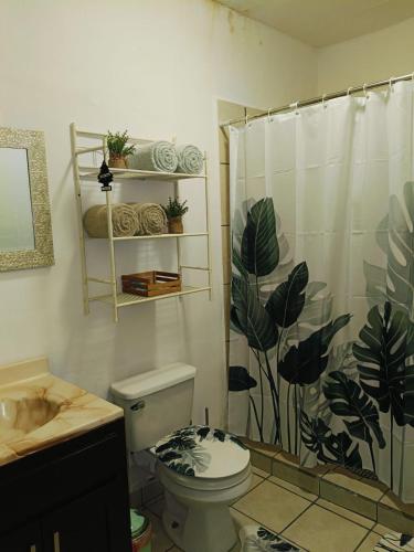 ein Badezimmer mit Toilette und Duschvorhang in der Unterkunft loft rosy in Puerto Peñasco