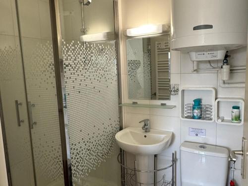 une salle de bain avec un lavabo et des toilettes dans l'établissement Appartement 2 pièces accès direct plage, animaux acceptés, Wifi - FR-1-487-378, à Cabourg