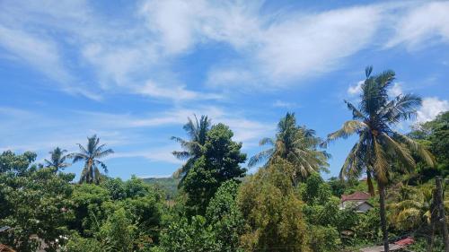 a group of palm trees against a blue sky at Roby Homestay in Kuta Lombok