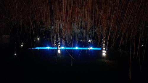 a view of a stage at night with trees at Agro Village Resort , Kalpitiya in Kalpitiya