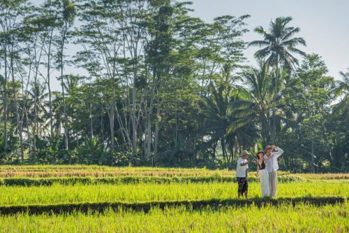a group of people standing in a field at Metland Venya Ubud in Ubud