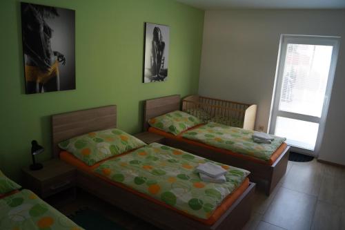 Postel nebo postele na pokoji v ubytování Apartmán Lužičan