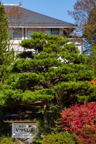 a pine tree in front of a house at 厳美渓温泉いつくし園 in Itsukushi
