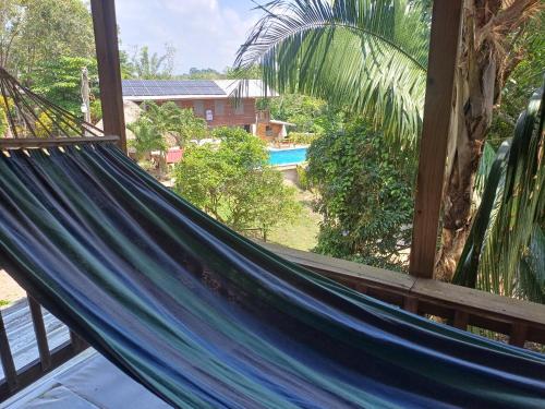 a hammock in a room with a view of a pool at Hidden Haven House in Unitedville