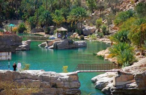 two people standing in a pool of water in a zoo at Wadi Bani Khalid Villa in Dawwah