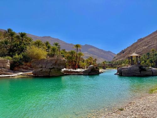 a pool of emerald green water with palm trees and mountains at Wadi Bani Khalid Villa in Dawwah