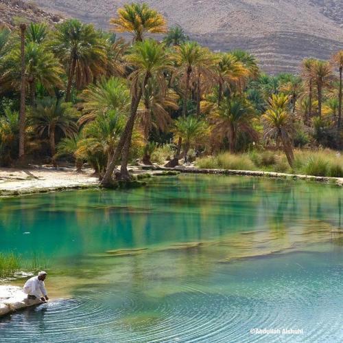 a man in a boat in a lake with palm trees at Wadi Bani Khalid Villa in Dawwah