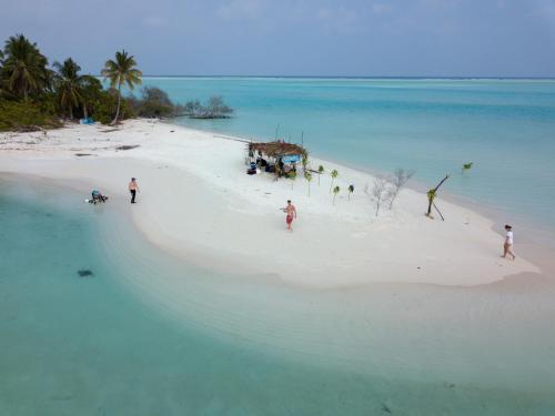 a group of people on a beach in the water at Masfalhi View Inn in Felidhoo