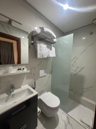 a bathroom with a toilet and a sink and a shower at Hotel Europa in Signa