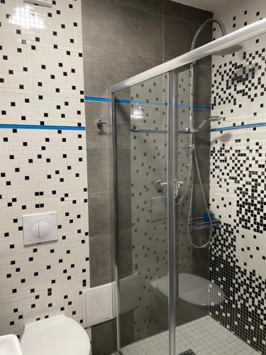 a bathroom with a glass shower with a toilet at Królewna Śnieżka II in Szklarska Poręba