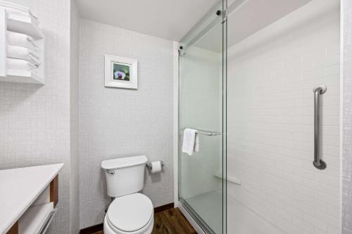 a bathroom with a toilet and a glass shower at Hampton Inn & Suites Wilson I-95 in Wilson