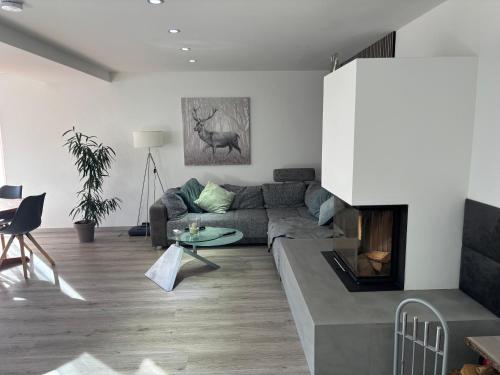 a living room with a couch and a fireplace at Business HO 03 in Neckarsulm