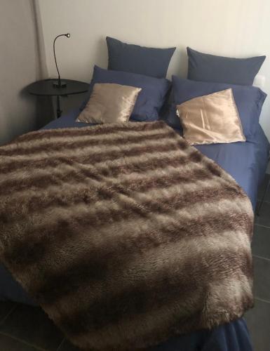 a bed with a brown blanket and pillows at Anne Sophie Chambre chez lhabitant in Guipavas