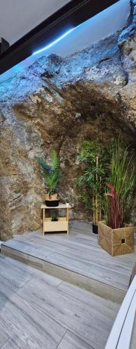 a room with plants in front of a stone wall at El susurro del tajo La gruta in Toledo
